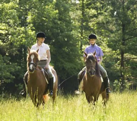 Apartment Tu Hogar En Ronda, La Ciudad Sonada Ronda
