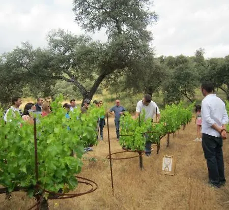 Tu Hogar En Ronda, La Ciudad Sonada Lägenhet Ronda