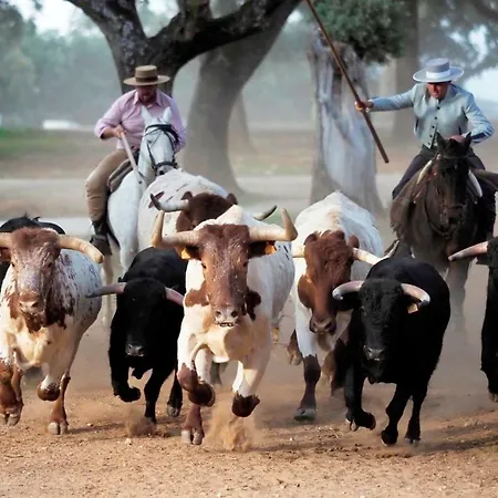 Tu Hogar En Ronda, La Ciudad Sonada Apartamento