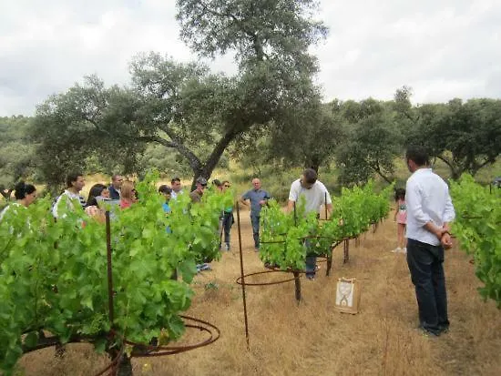 Tu Hogar En Ronda, La Ciudad Sonada דירה רונדה