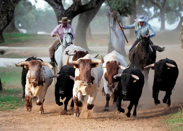 Tu Hogar En Ronda, La Ciudad Sonada דירה
